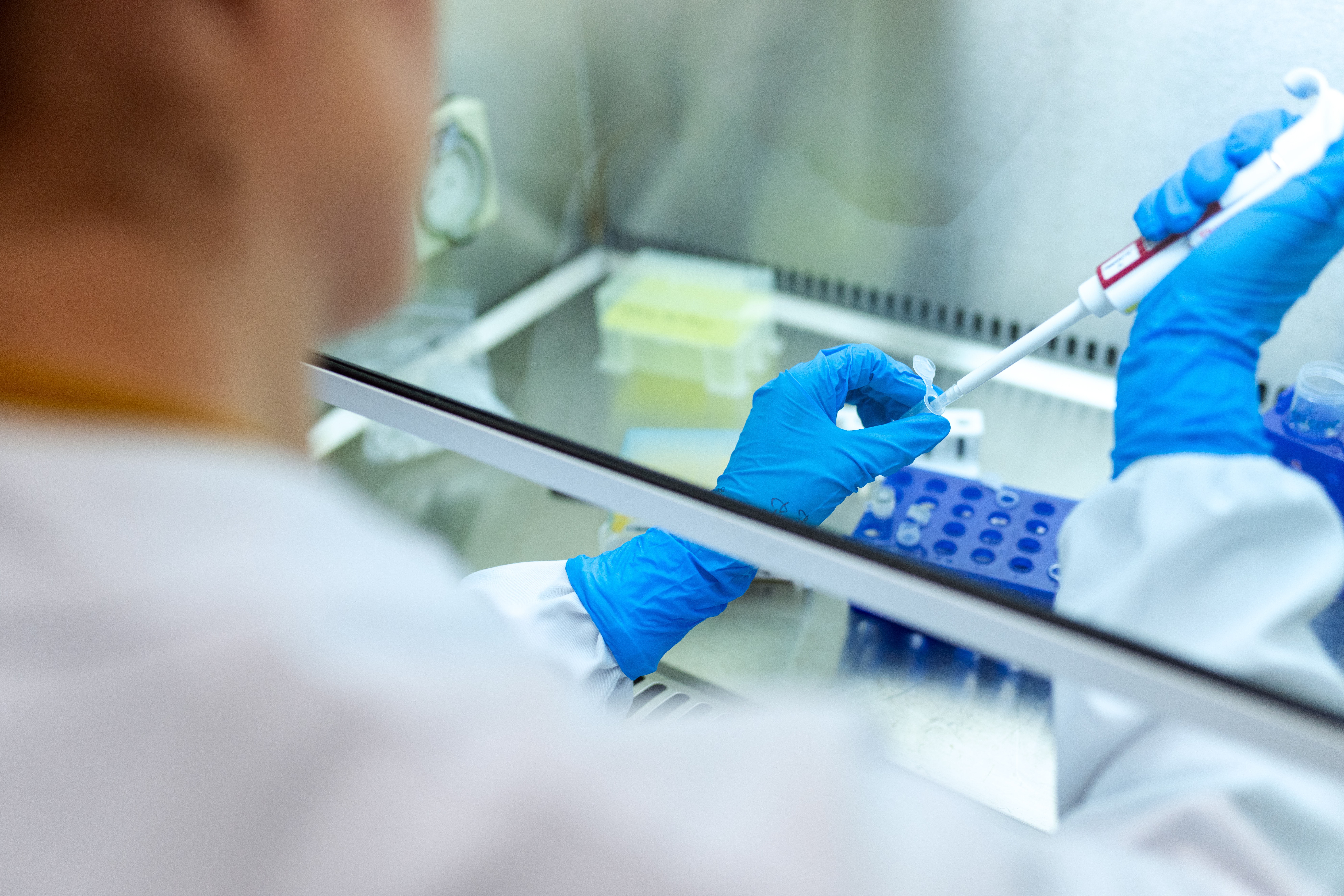 biomedical engineering